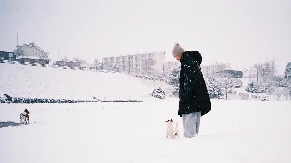 雪の積もった札幌の公園を、3匹の犬と歩いている。人と犬は広い雪景色の中に小さく写っている。